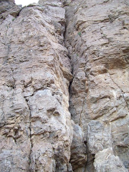 Cow Crack