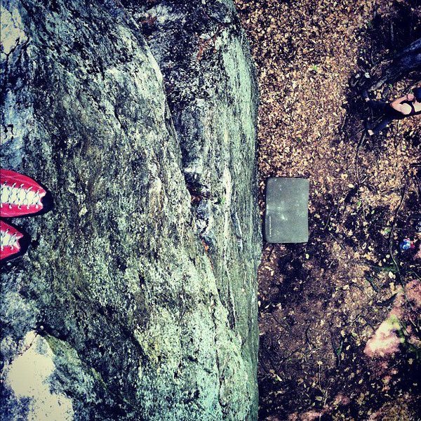 from the top