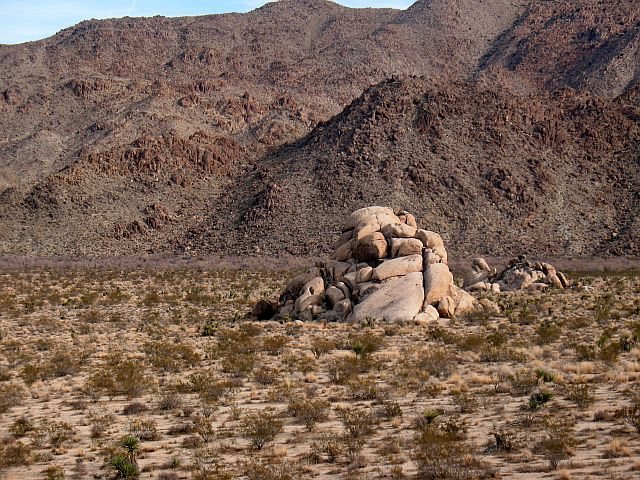 Callous Boulder, Joshua Tree NP