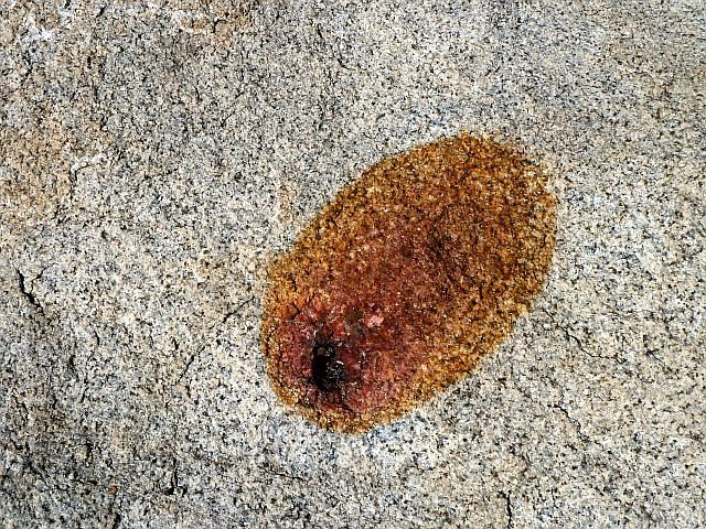 Iron stain on quartz monzonite, Joshua Tree NP 