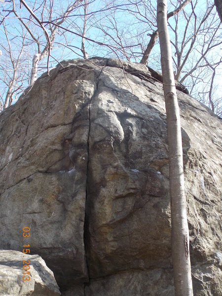 Tomato Crack
