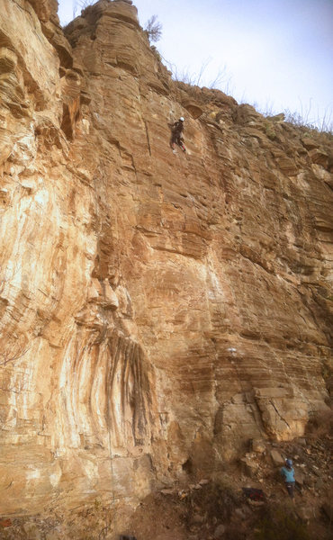 Leo just past midway on FA<br>
Wishbone Right (5.10-)