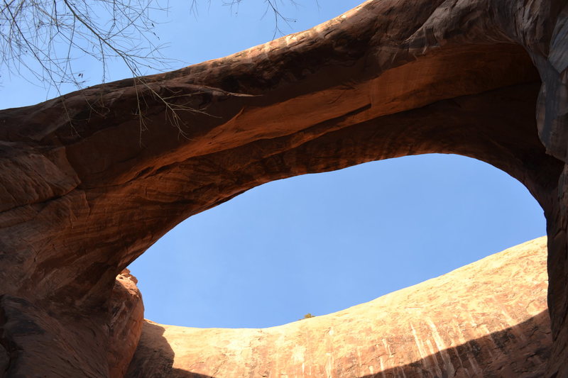 The arch! Pool Arch Canyon, Moab UT. 