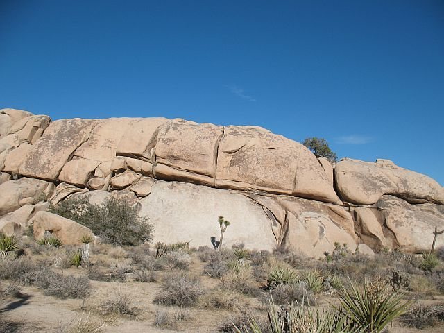 dinorock dinosaur rock