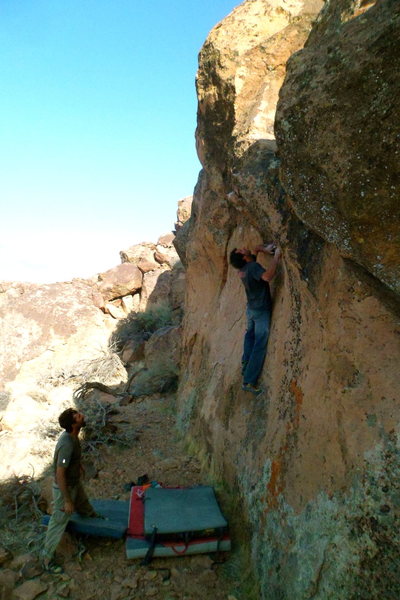 Adam on Sexual Camel, looking for a tall man method.