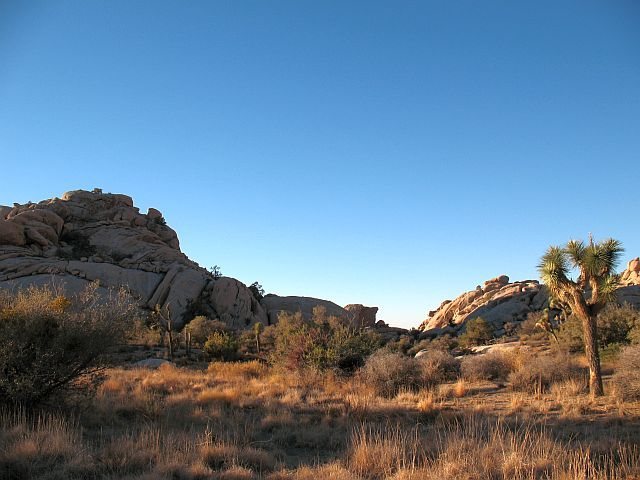 North of The Cornerstone is a great overlook onto the North Wonderland, Joshua Tree NP