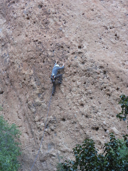 Sandy leading the bolted line, near the 2nd bolt, on the Acme TR Wall.