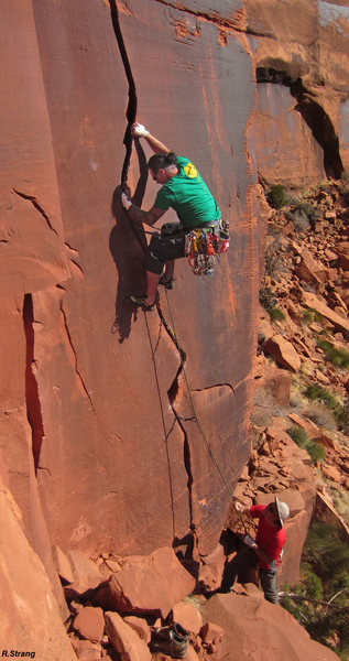 Perropirana crusin the <br>
Wee Doggie (5.10-)