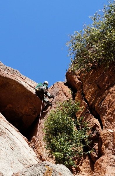 pulling the roof