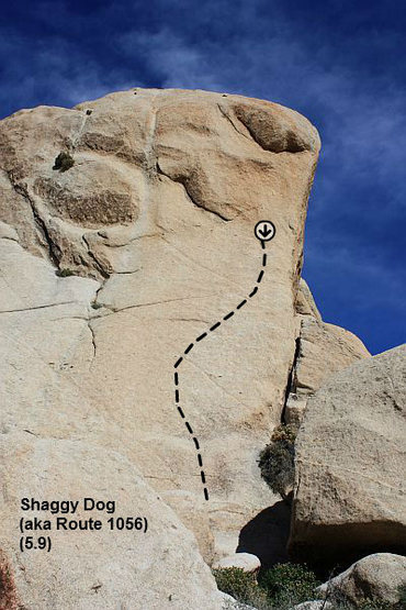 Shaggy Dog (aka Route 1056) (5.9), Joshua Tree NP