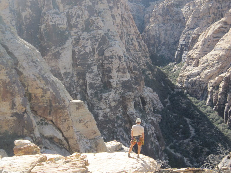 jack scouting descent options