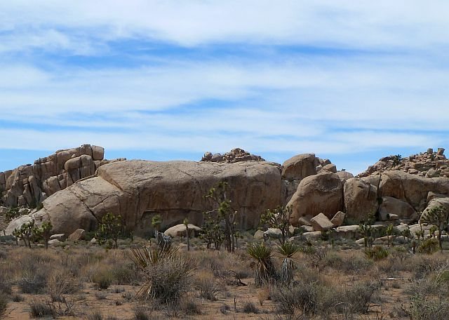 Peyote Cracks Formation (E. Face), Joshua Tree NP