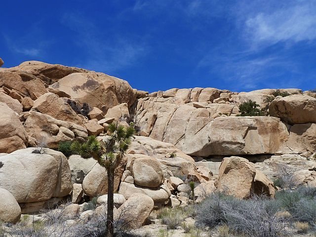 Snickers (South Face), Joshua Tree NP