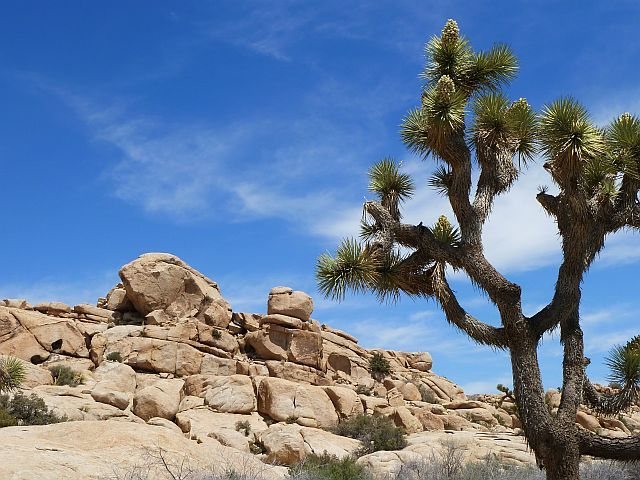 The Sun Bowl, Joshua Tree NP
