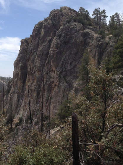 From the T-section of trail... To Ridgeline or to Boneyard? Where will we go?