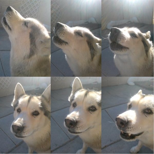 Moonah sings!!!!