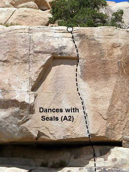 Dances with Seals (A2), Joshua Tree NP