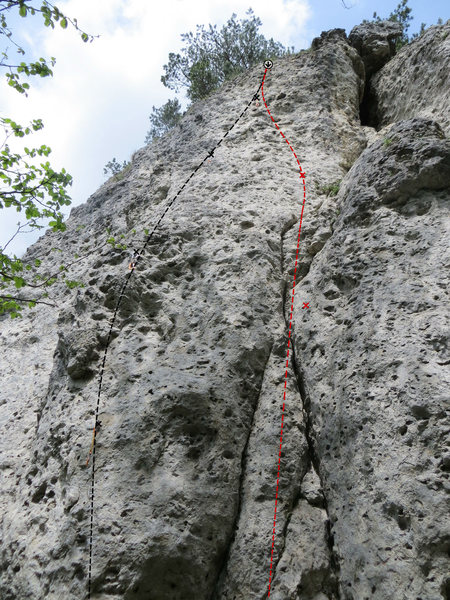Boulder in black and Chrysalis in red