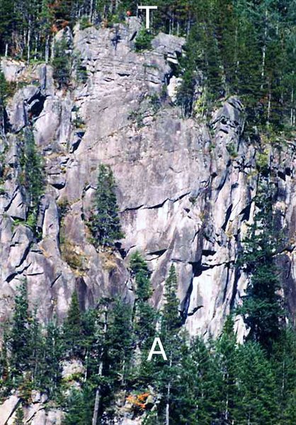 Upper left side of Blues Cliff. "T" is the top of Starfish (5.9). "A" is the base of Accidental Discharge (11a). (From RCNW.net)