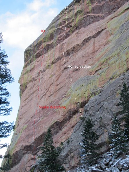 The route overview relative to Snake Watching.