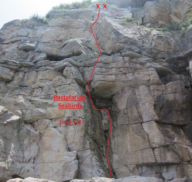 beta topo