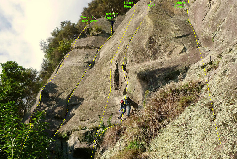 Cracks Wall Middle (Beta)