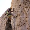 Logging some air miles on a weird and chossy 5.11c at the Shaded wall, Central Gorge area.