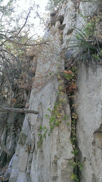 The crack has been cleaned up slightly since this picture was taken.