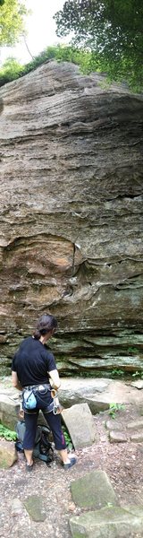 Pano shot from below.