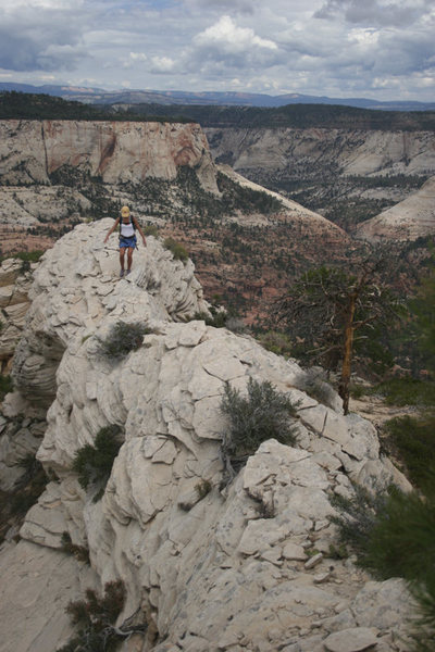 Chossy ridge leading to summit, Left Fork of North Creek behind