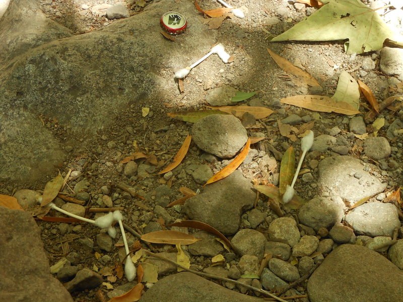 If you're going to do "personal maintenance" in the great outdoors the least you could do is to pick up after yourself and NOT leave it in the Grotto for someone else to deal with.