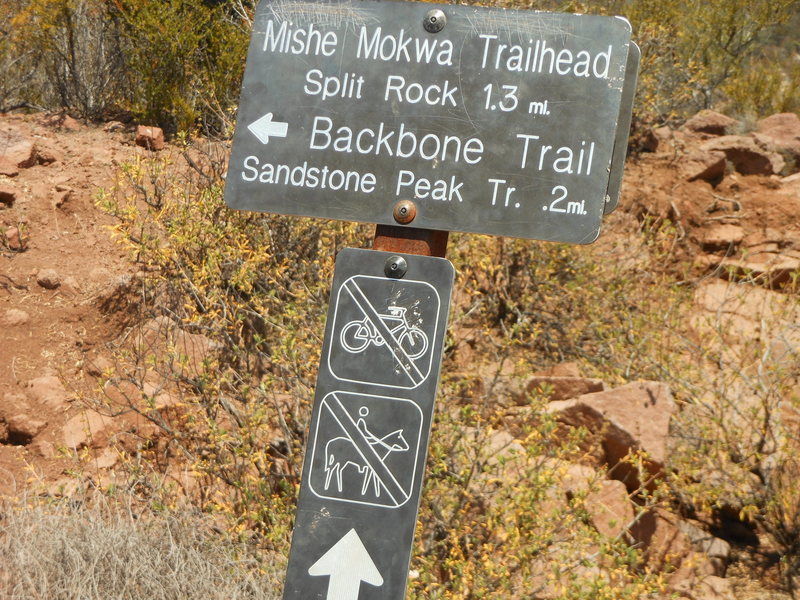 The often maligned sign at the junction of the Sandstone Peak connector trail and the Mishe Mokwa/Backbone Trail.