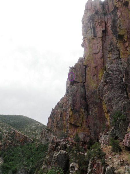 The whole route, AMH circled near the top of pitch 1 by Nestor.
