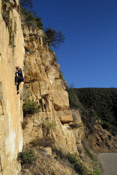 Rock Climbing in Bolt Ladder Area, Central Coast