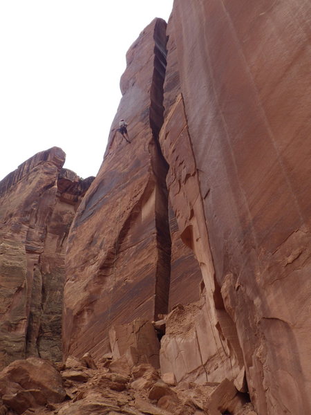 taylor, about 1/2 way down