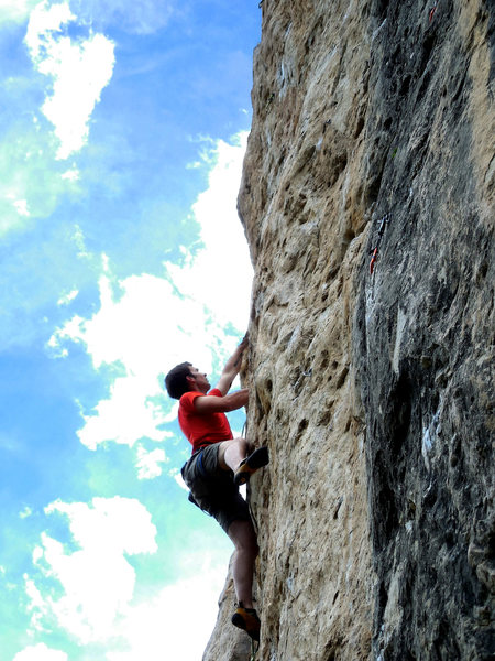 Austin on Mohican