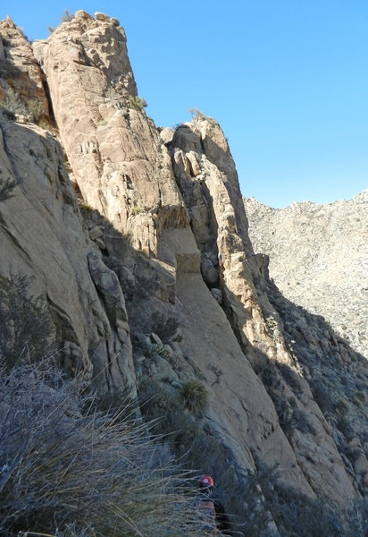 Lower formation on the east ridge of Ladron Peak, Socorro Co., NM.