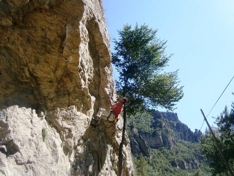 At the crux...better to go left and up from the second bolt... A couple tough moves but the line is right.
