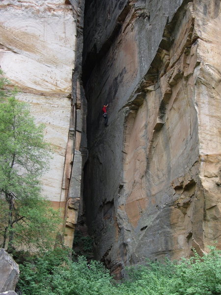 this is the first THIRD. seriously. probably about 100 feet still to go...