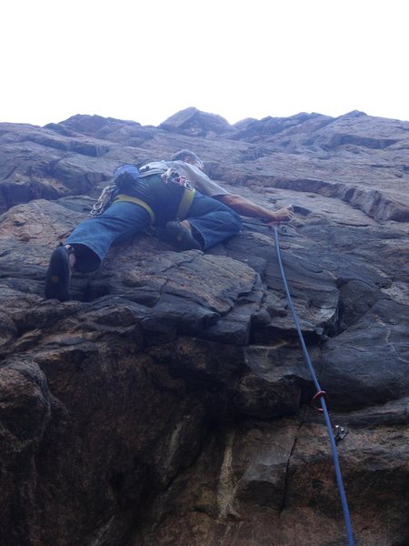 Near the bottom.