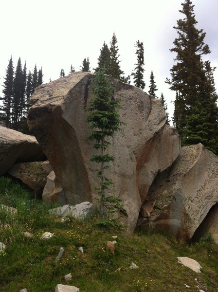 Cobra Boulder (just made that up) located near Middle Moon lake. 12-15 feet tall. May be worth checking out if you brought your shoes. Rock is flawless white granite. 