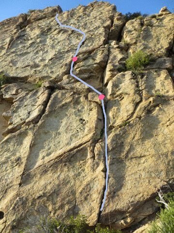 Variation of the Mid-face line