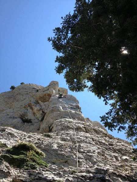 Austin Black leading this great climb