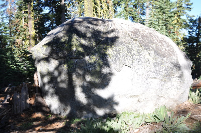 Unknown boulder near Summit Lake, CA