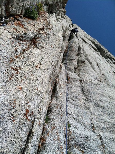 Leading P2 "the awkward chimney" on The Open Book. Partner and I both agreed, this pitch kinda blows. Tell your partner it's the money pitch and let them lead it.