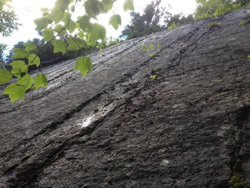 Lines climbers left of Premarital Blisters. Hard to tell what these are exactly-- cracks or seams?