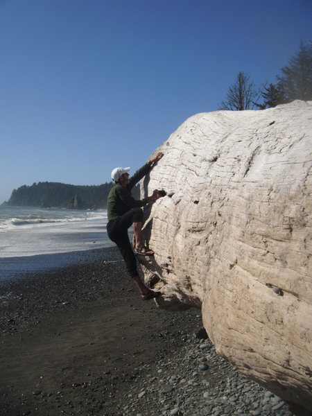 Driftwooding near Mora. Bring tweezers (not pads). Slopers abound. So do splinters.<br>
C. Rein, photo.