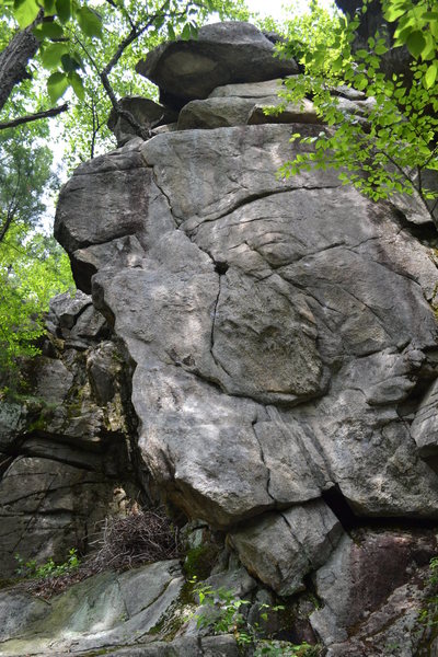 Stone Zoo