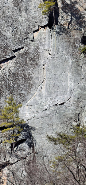Lichen or Leave It, Center of picture.<br>
See lots of detail when you view full size.