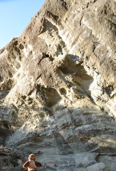 A rare siting of Turbo The Owl (and Owl Tor in the full sun)